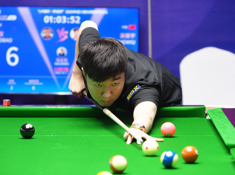 的情感纽带 的情感纽带