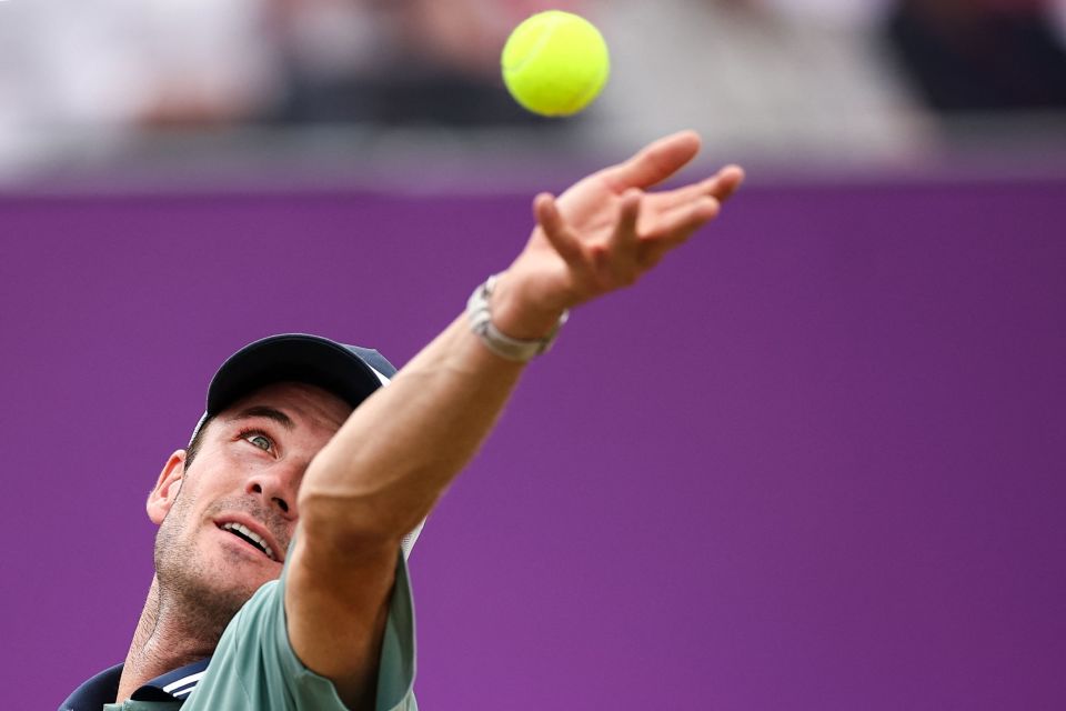 们实力的证 们实力的证