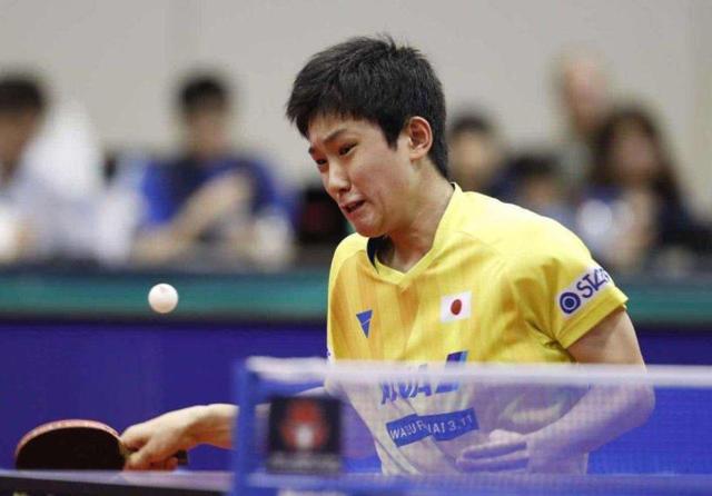 小龙与先锋 小龙与先锋