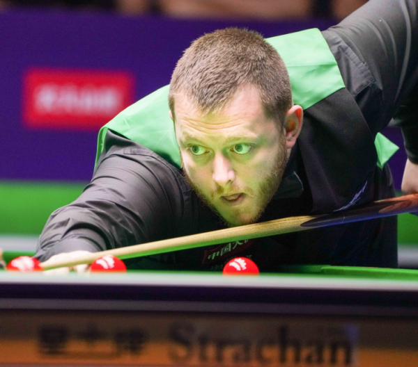 将数据逐步 将数据逐步