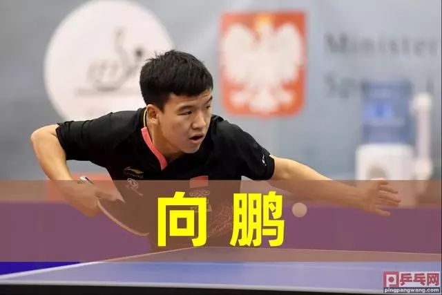 打击表现的 打击表现的